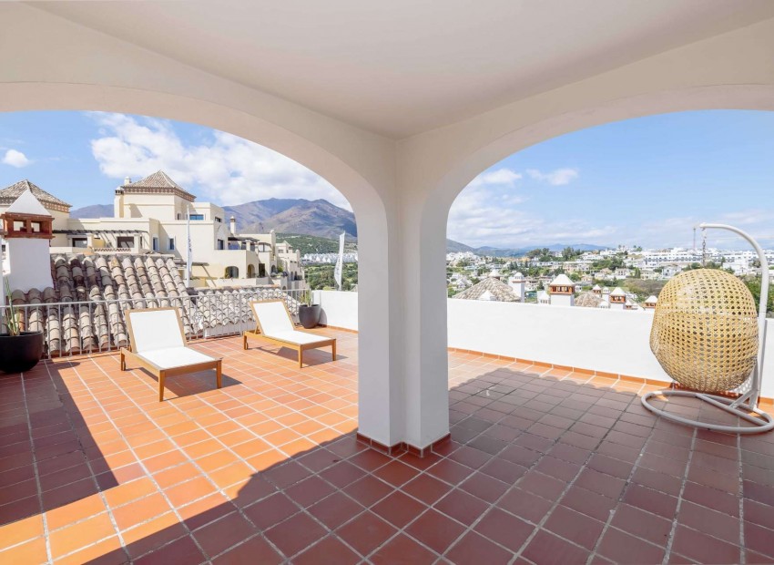 Neue Gebäude -  -
La Gaspara