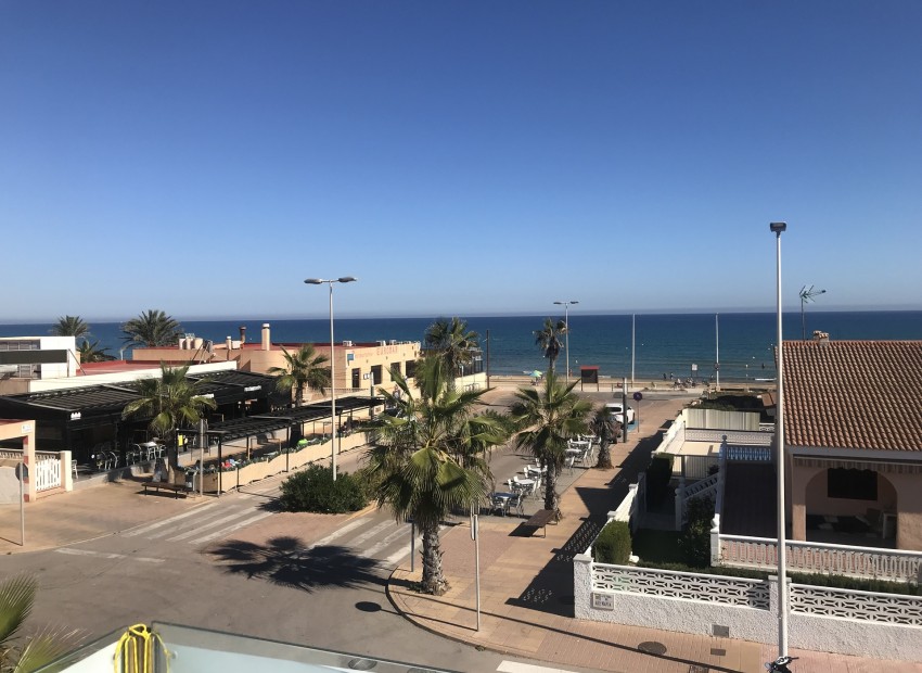 Neue Gebäude -  -
La Mata