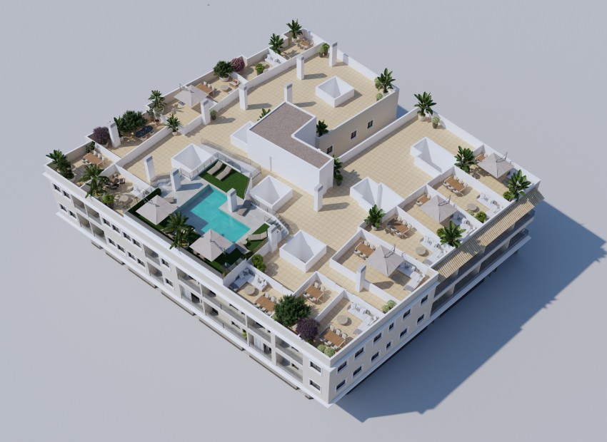 Neue Gebäude - Penthouse -
Algorfa