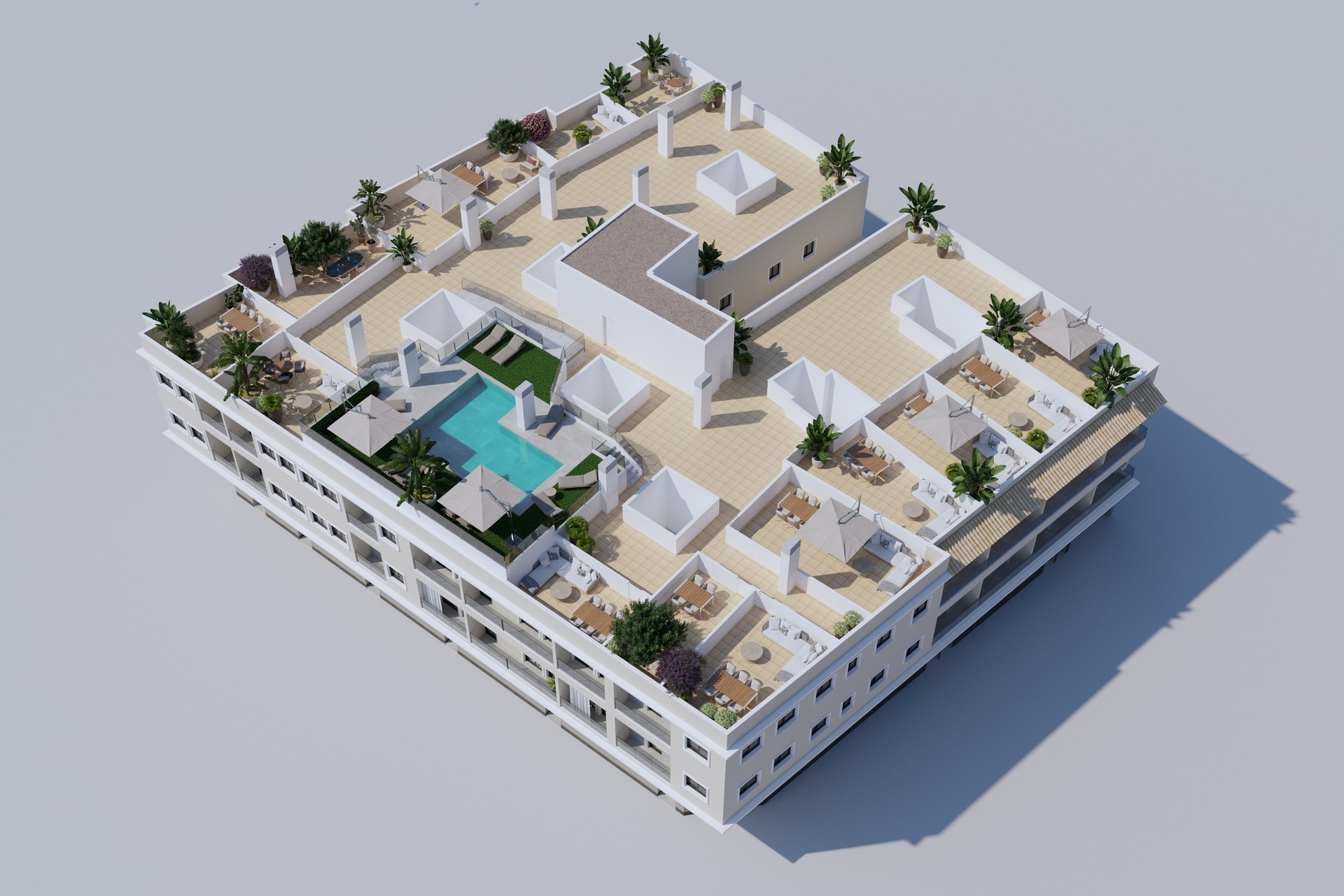 Neue Gebäude - Penthouse -
Algorfa