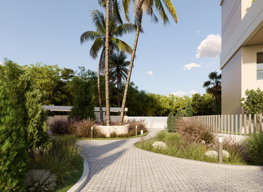 Neue Gebäude - Penthouse -
Calpe