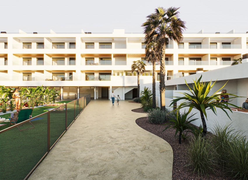 Neue Gebäude - Penthouse -
Torrevieja