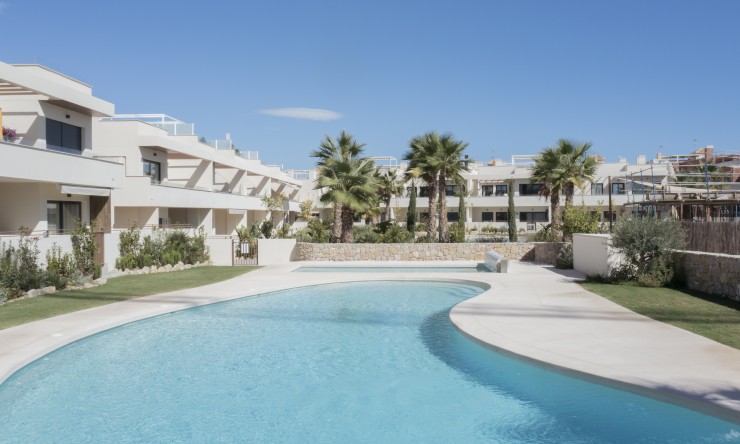  - Neue Gebäude - Torrevieja - Torrevieja