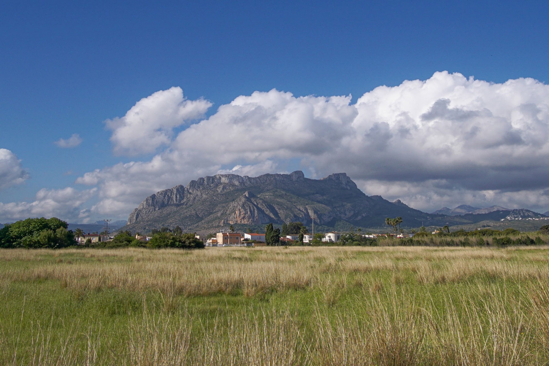 Neue Gebäude - Villa -
Els Poblets - Sorts de la Mar