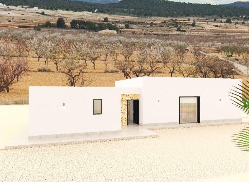 Neue Gebäude - Villa -
Pinoso