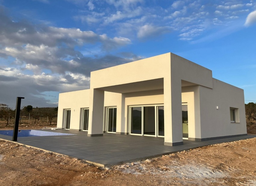 Neue Gebäude - Villa -
Pinoso