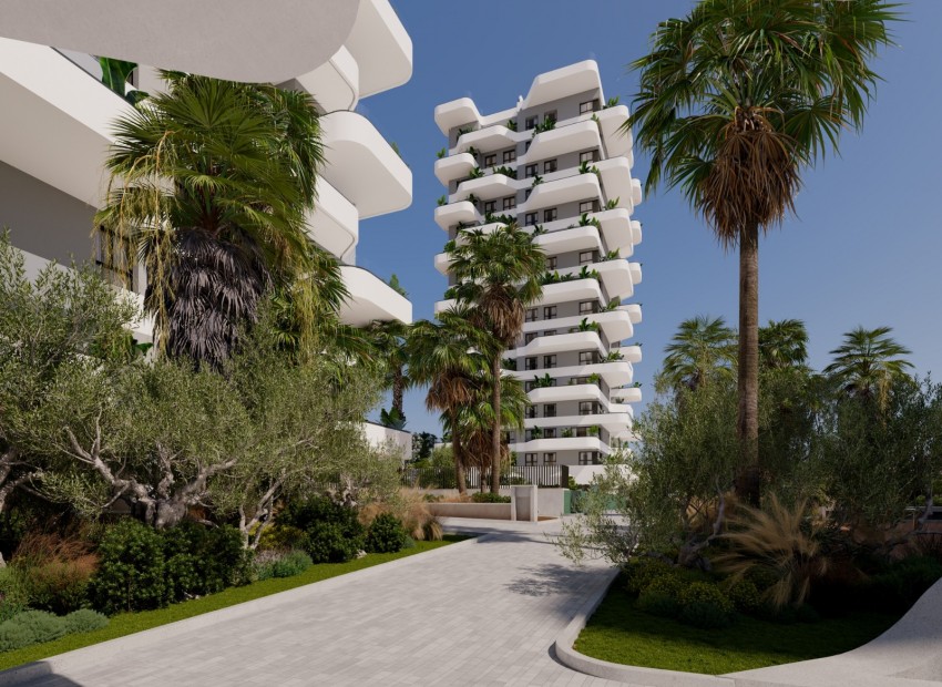 Neue Gebäude - Wohnung -
Calpe - Zona Playa del Bol - Puerto