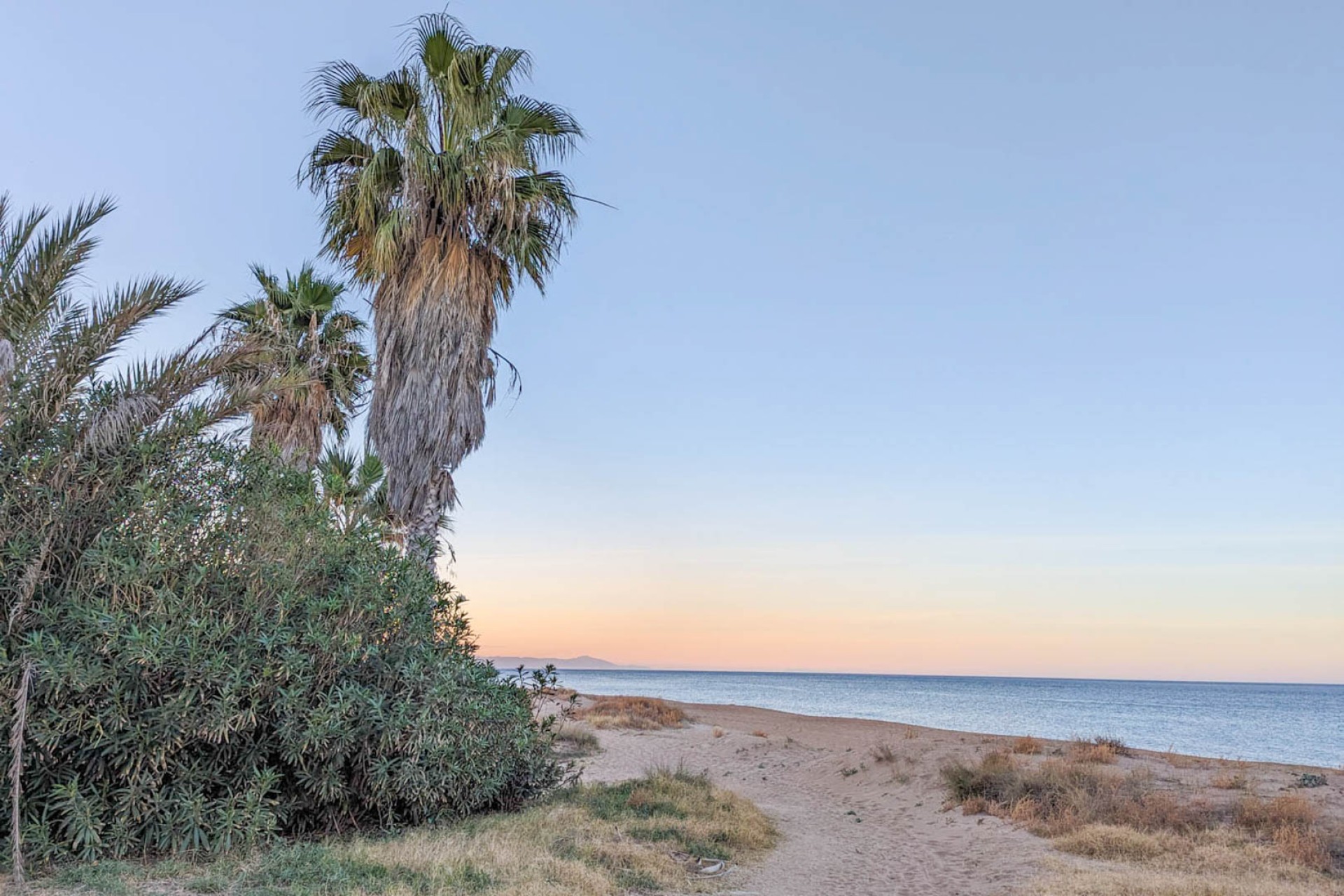 Neue Gebäude - Wohnung -
Denia - El Palmar