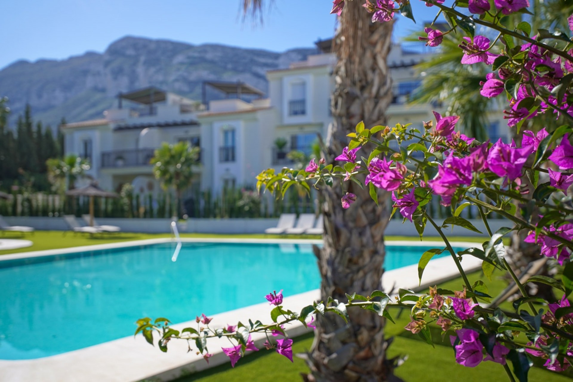 New Build - Apartment -
Denia - La Pedrera