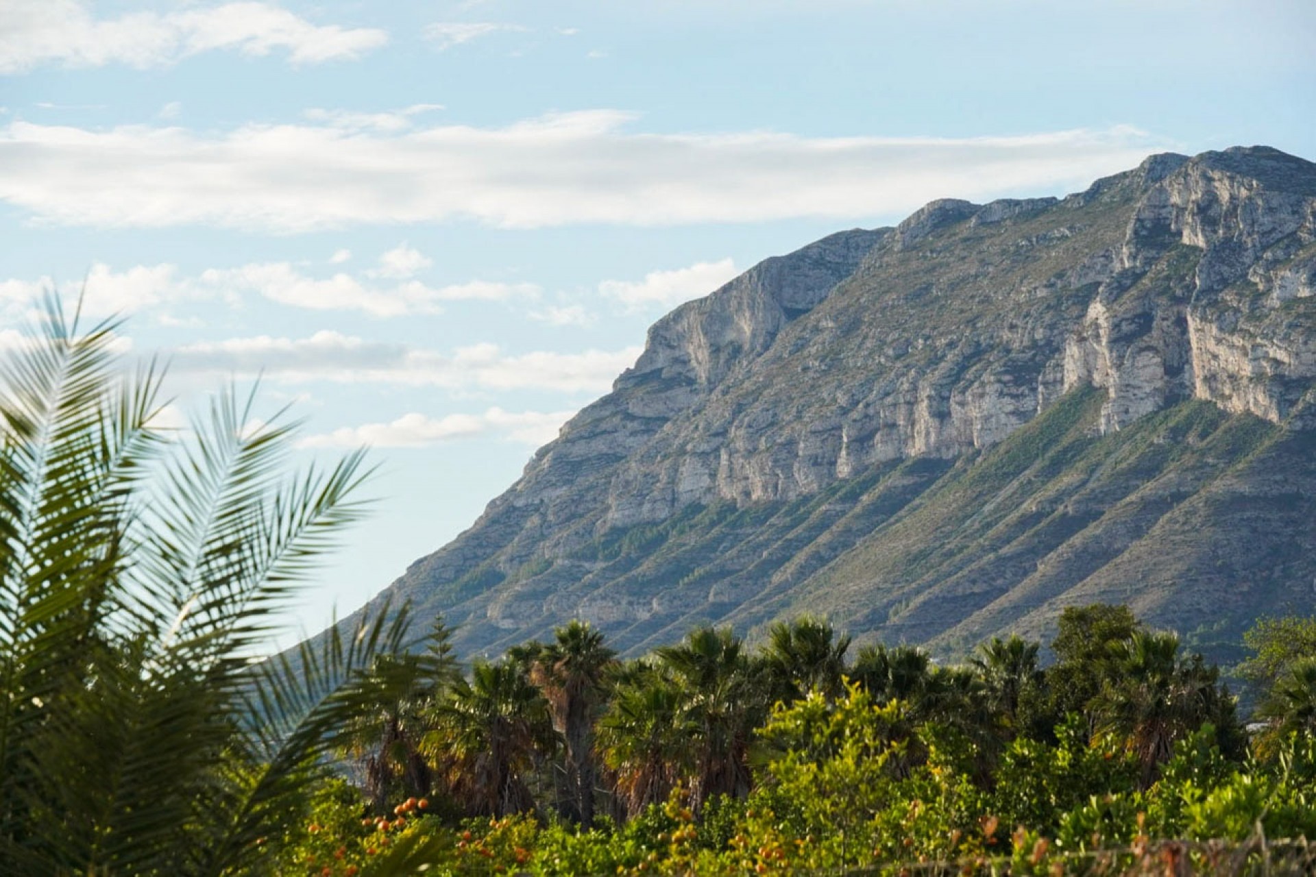 New Build - Apartment -
Denia - La Pedrera