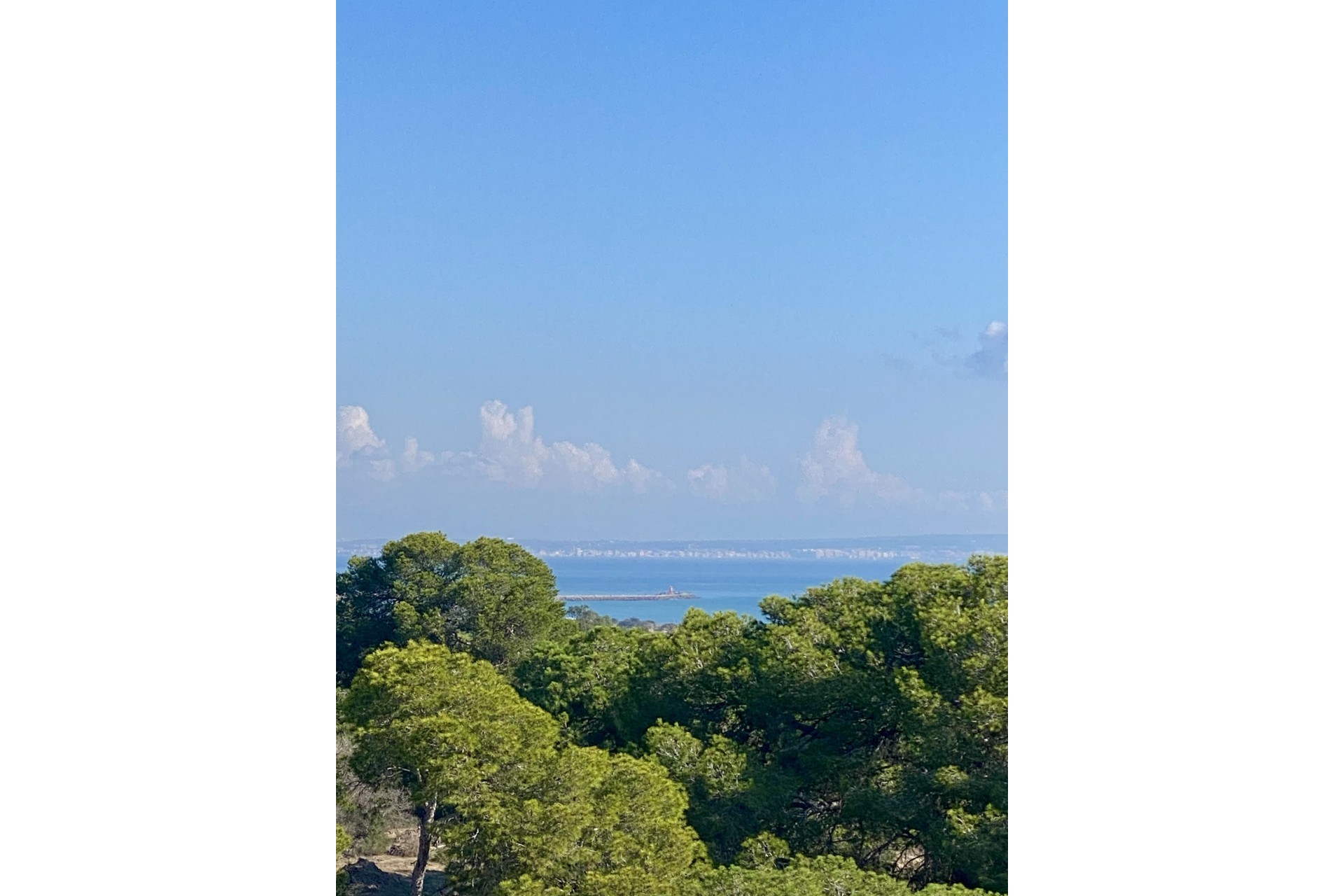 New Build - Apartment -
Guardamar del Segura