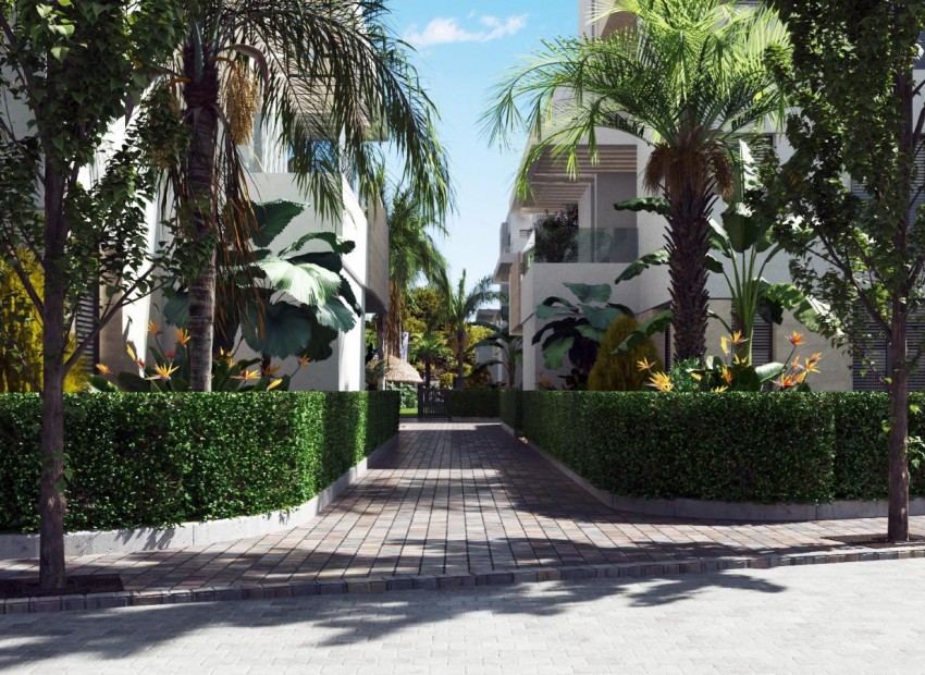 New Build - Apartment -
Santa Rosalia