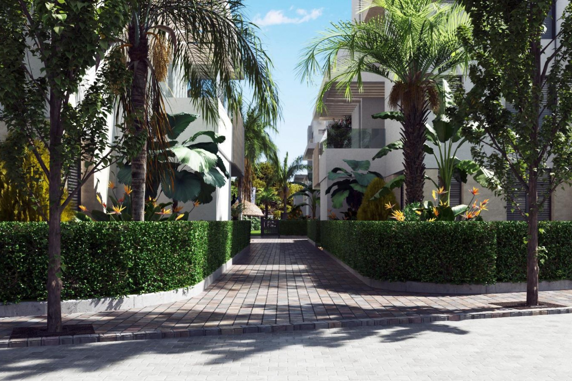 New Build - Apartment -
Santa Rosalia