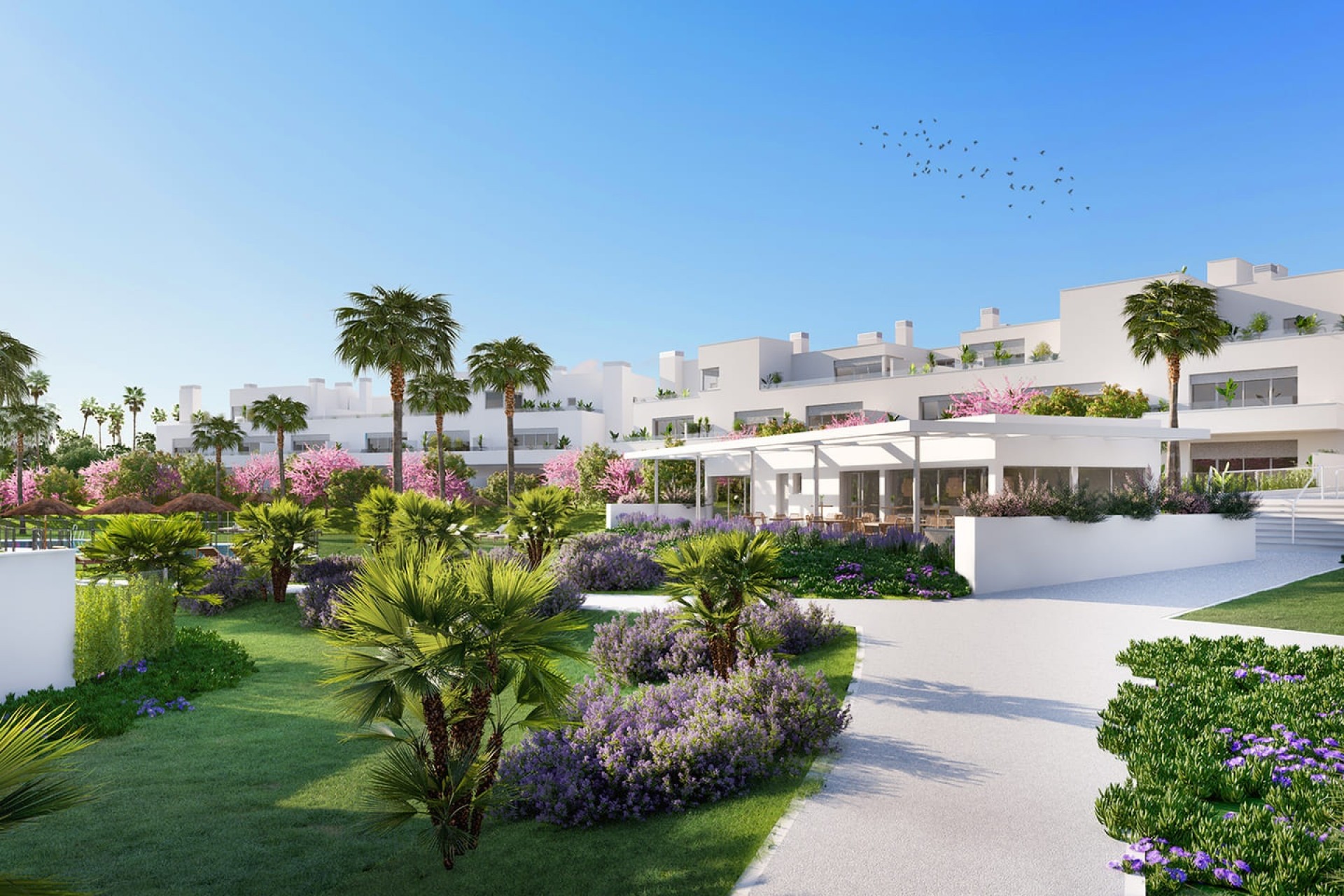 New Build - ground-floor -
Estepona