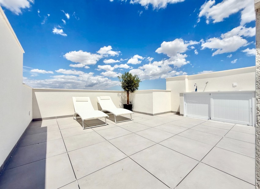 New Build - high-bungalow -
Cox