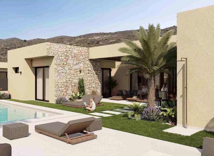 New Build - Villa -
Banos Y Mendigo