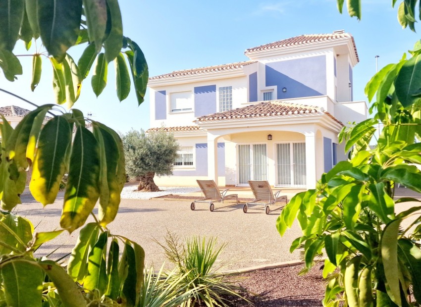 New Build - Villa -
Lorca - Purias