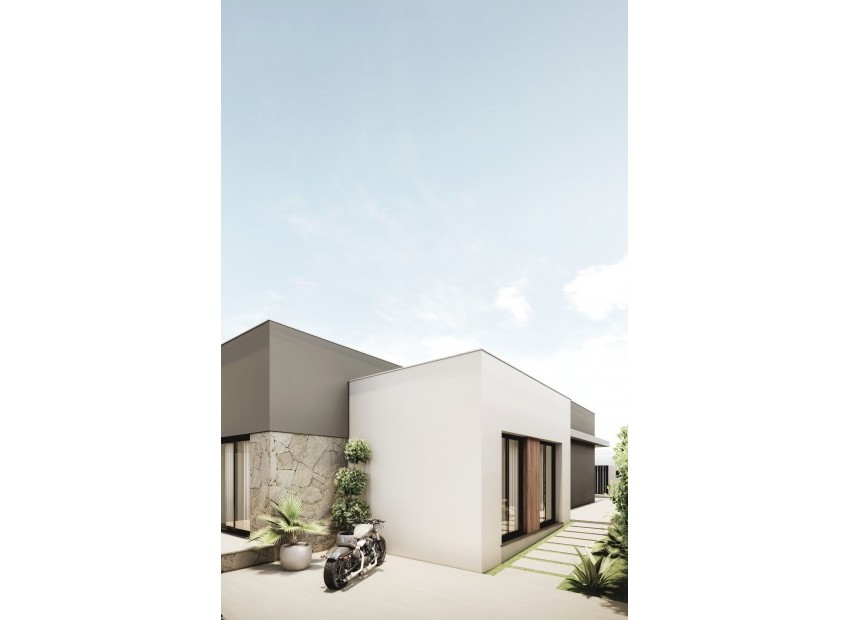 New Build - Villa -
San Juan de los Terreros