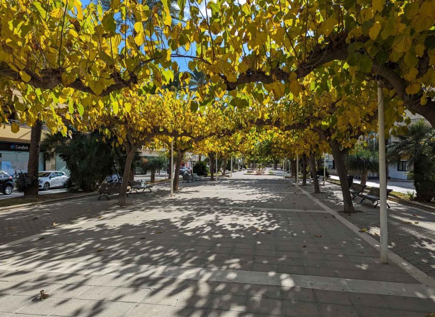 Nieuwbouw Woningen -  -
Moraira - El Portet