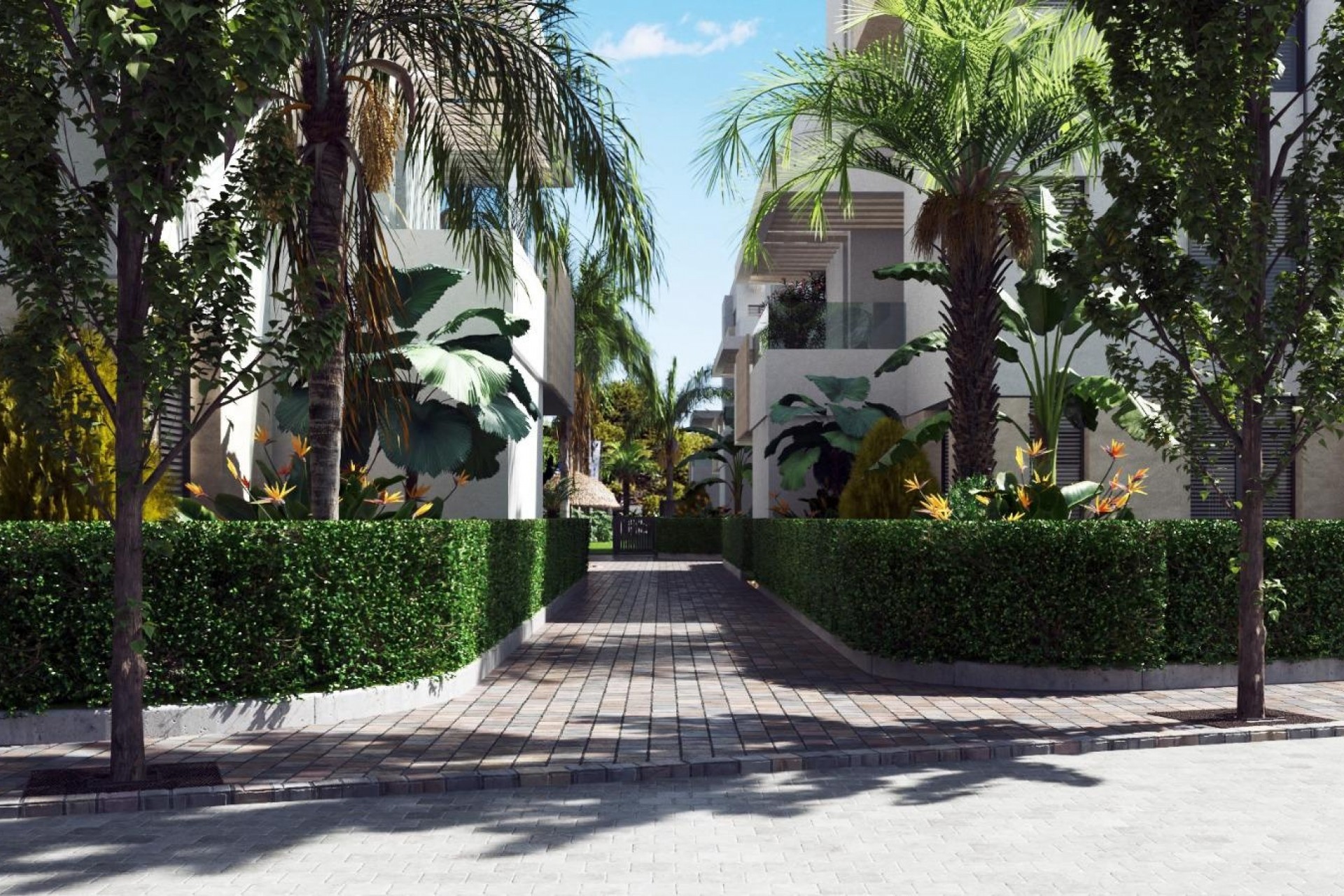 Nieuwbouw Woningen - Penthouse -
Santa Rosalia