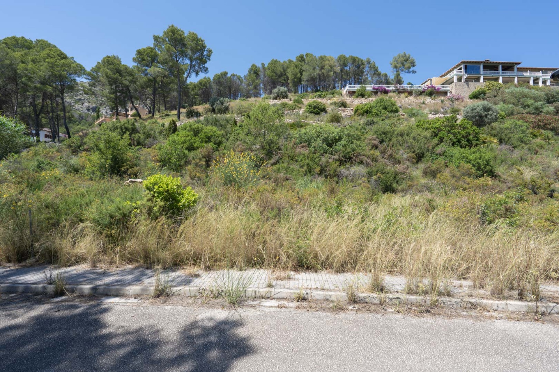 Nieuwbouw Woningen - Villa -
Alcalalí - Solana Gardens