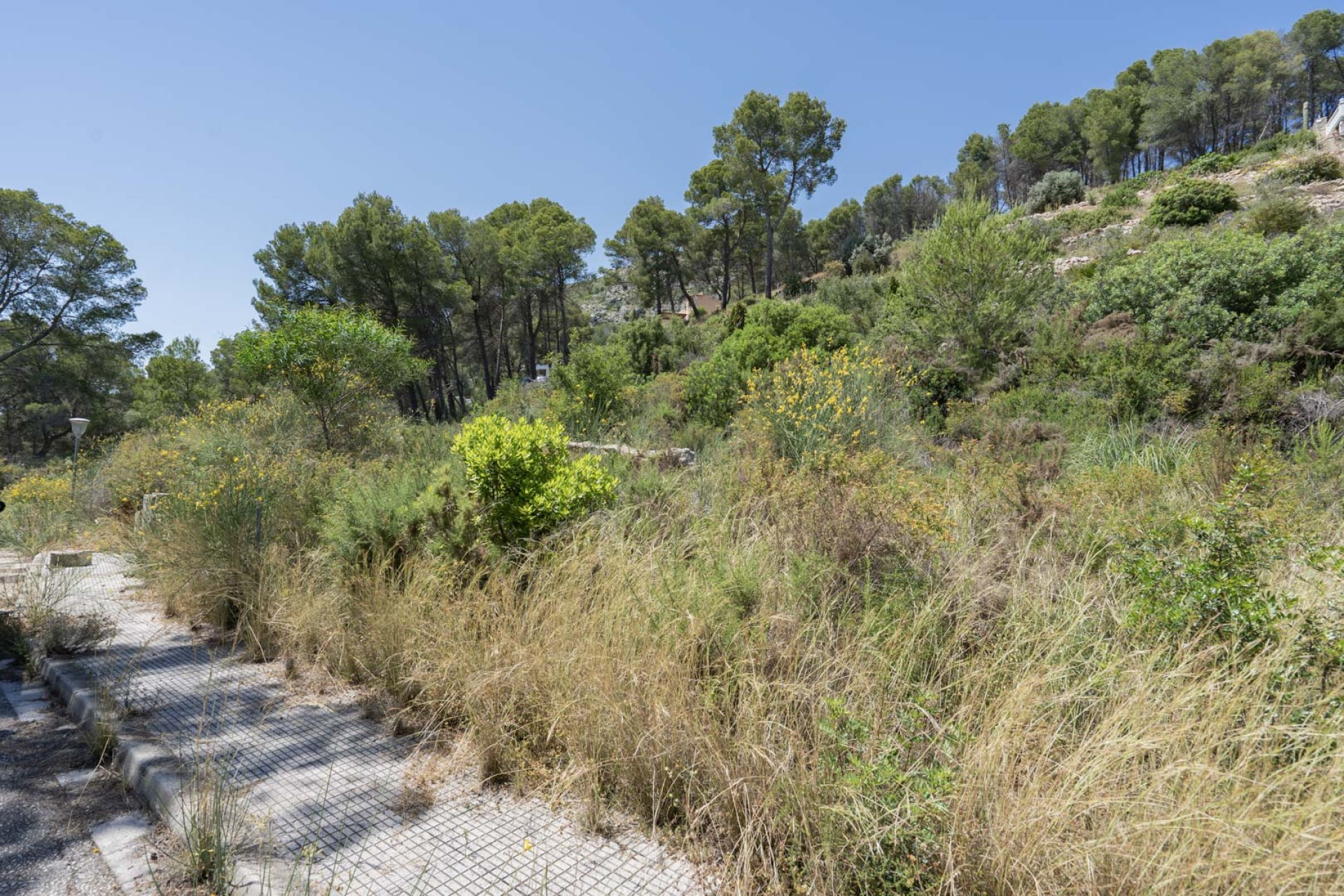 Nieuwbouw Woningen - Villa -
Alcalalí - Solana Gardens