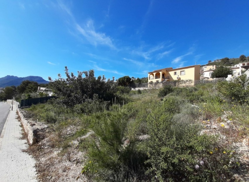 Nieuwbouw Woningen - Villa -
Alcalalí