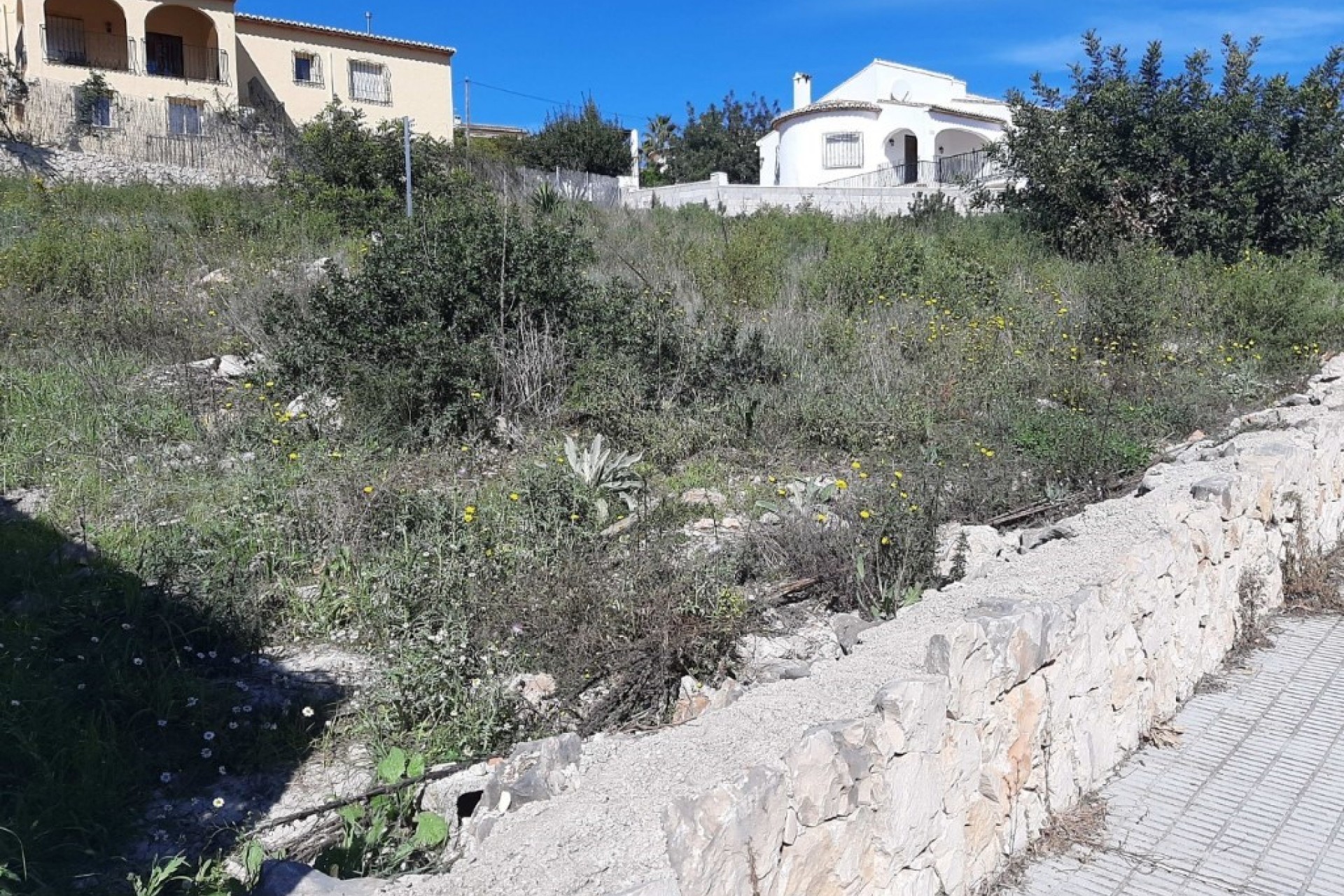 Nieuwbouw Woningen - Villa -
Alcalalí