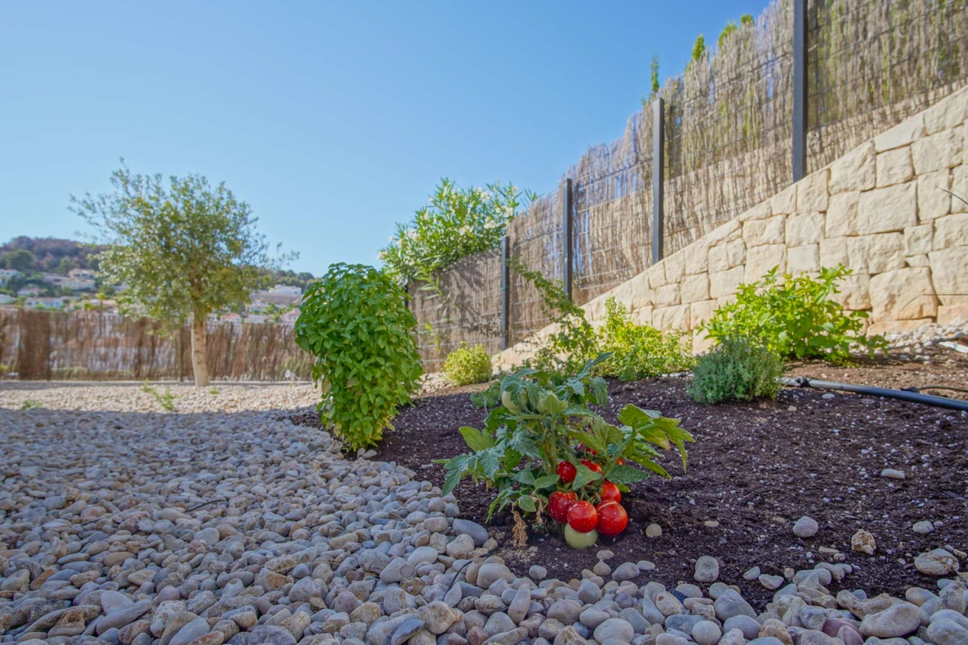 Nieuwbouw Woningen - Villa -
Benissa - La Fustera