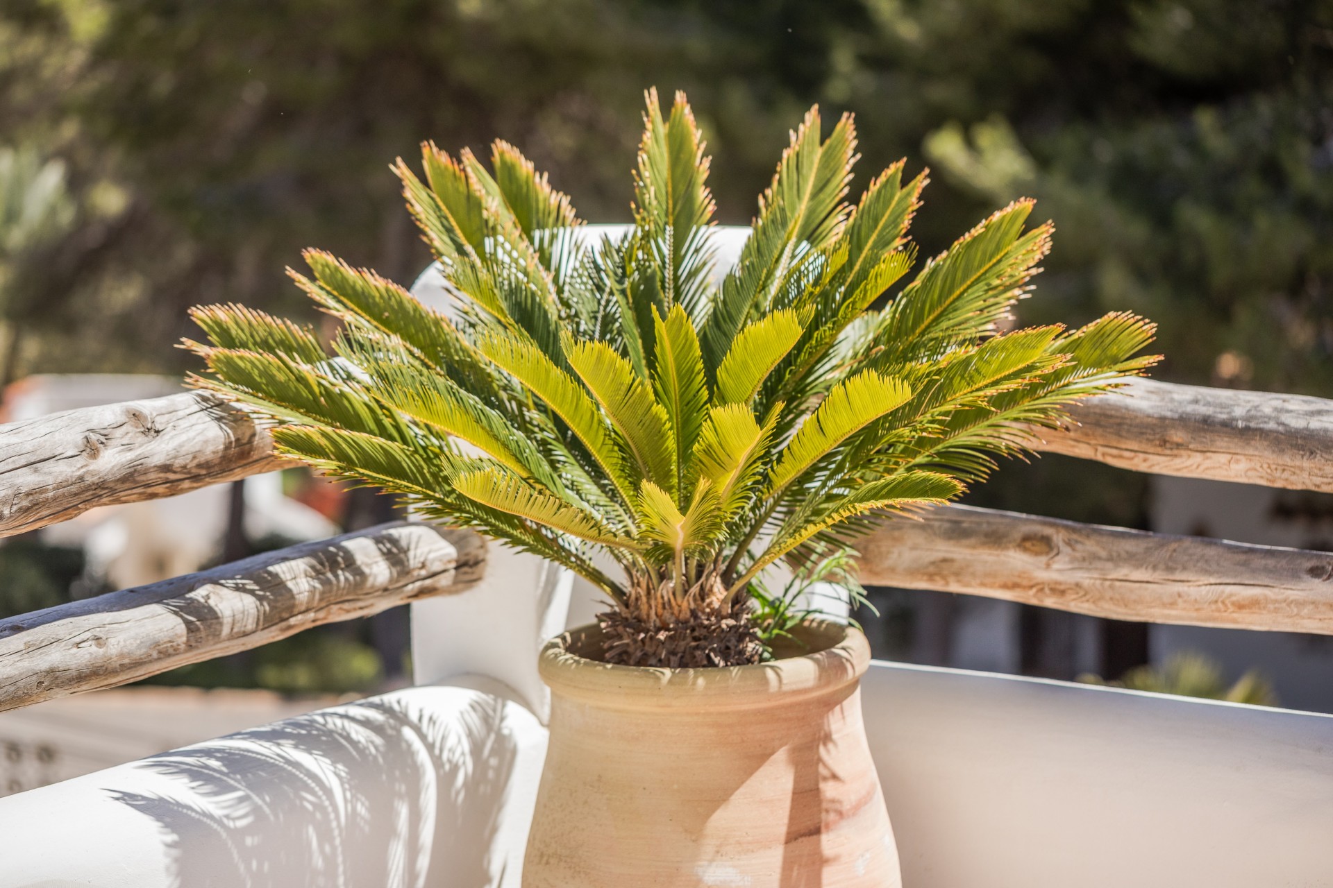 Nieuwbouw Woningen - Villa -
Jávea / Xàbia - Portichol - Balcón al Mar