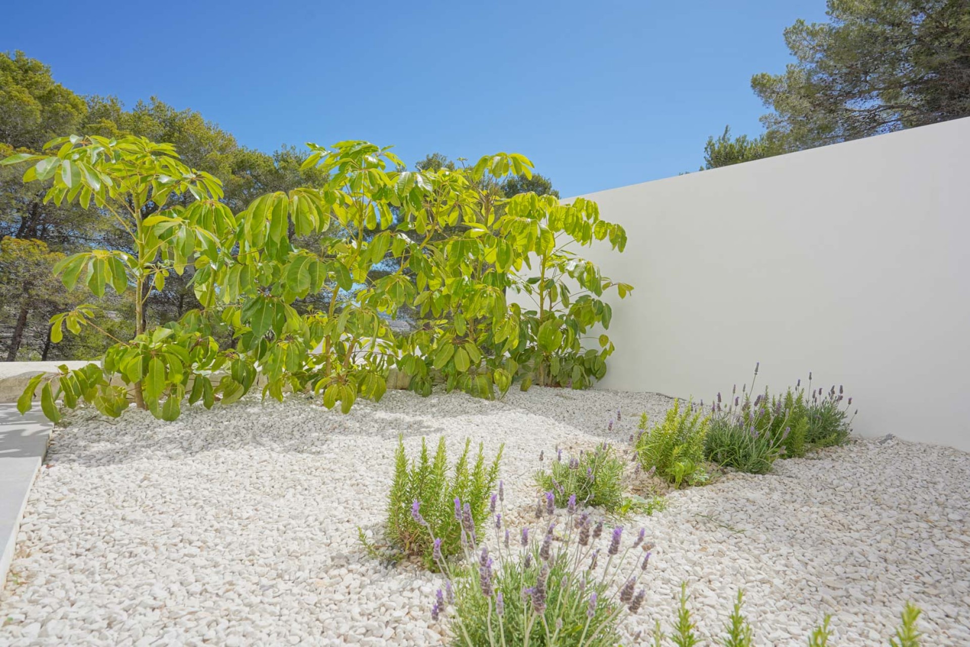 Nieuwbouw Woningen - Villa -
Moraira - Benimeit