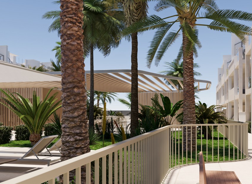 Nouvelle construction - Appartement -
Torre-Pacheco