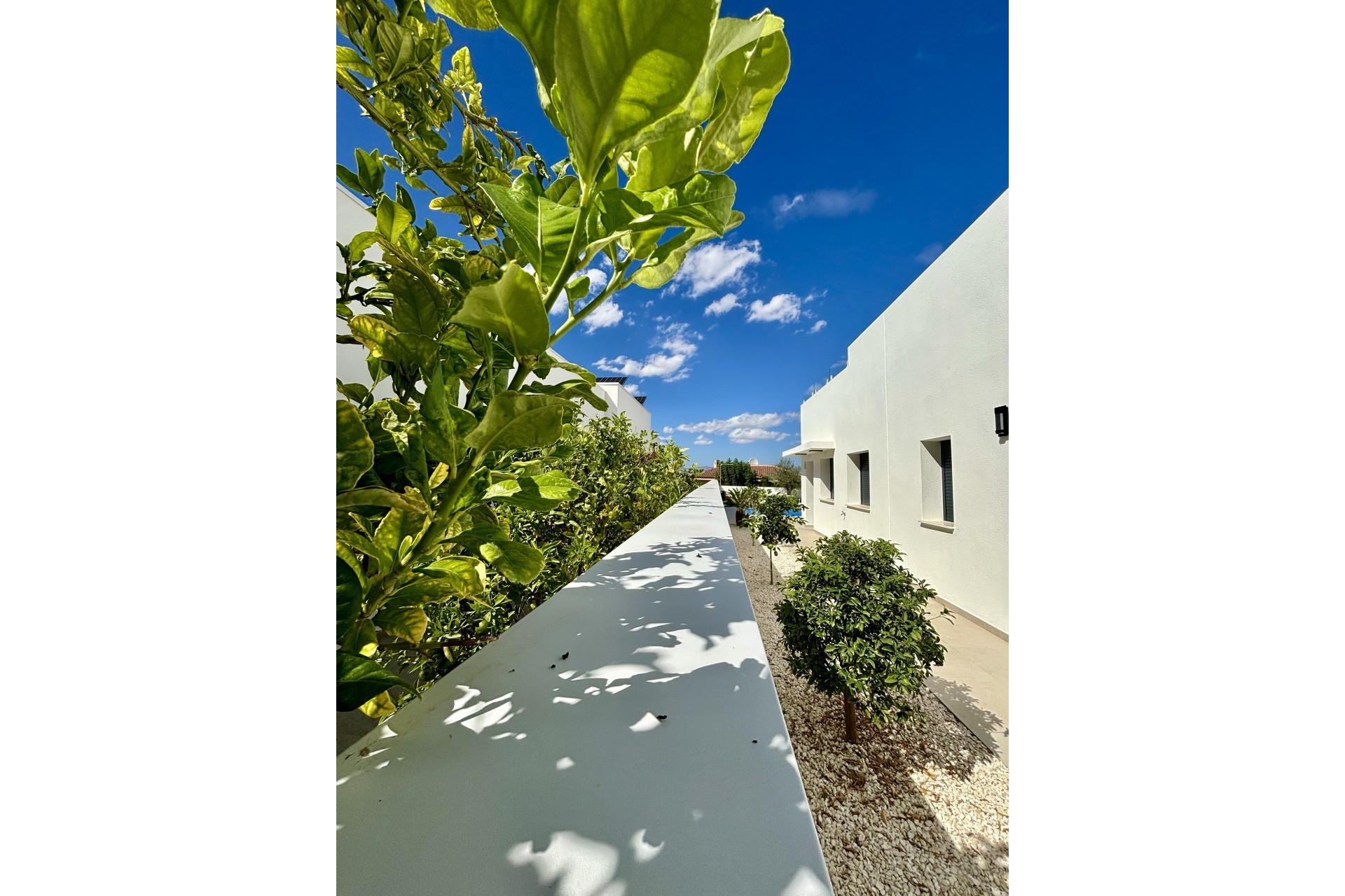 Nouvelle construction - Villa -
Benijofar