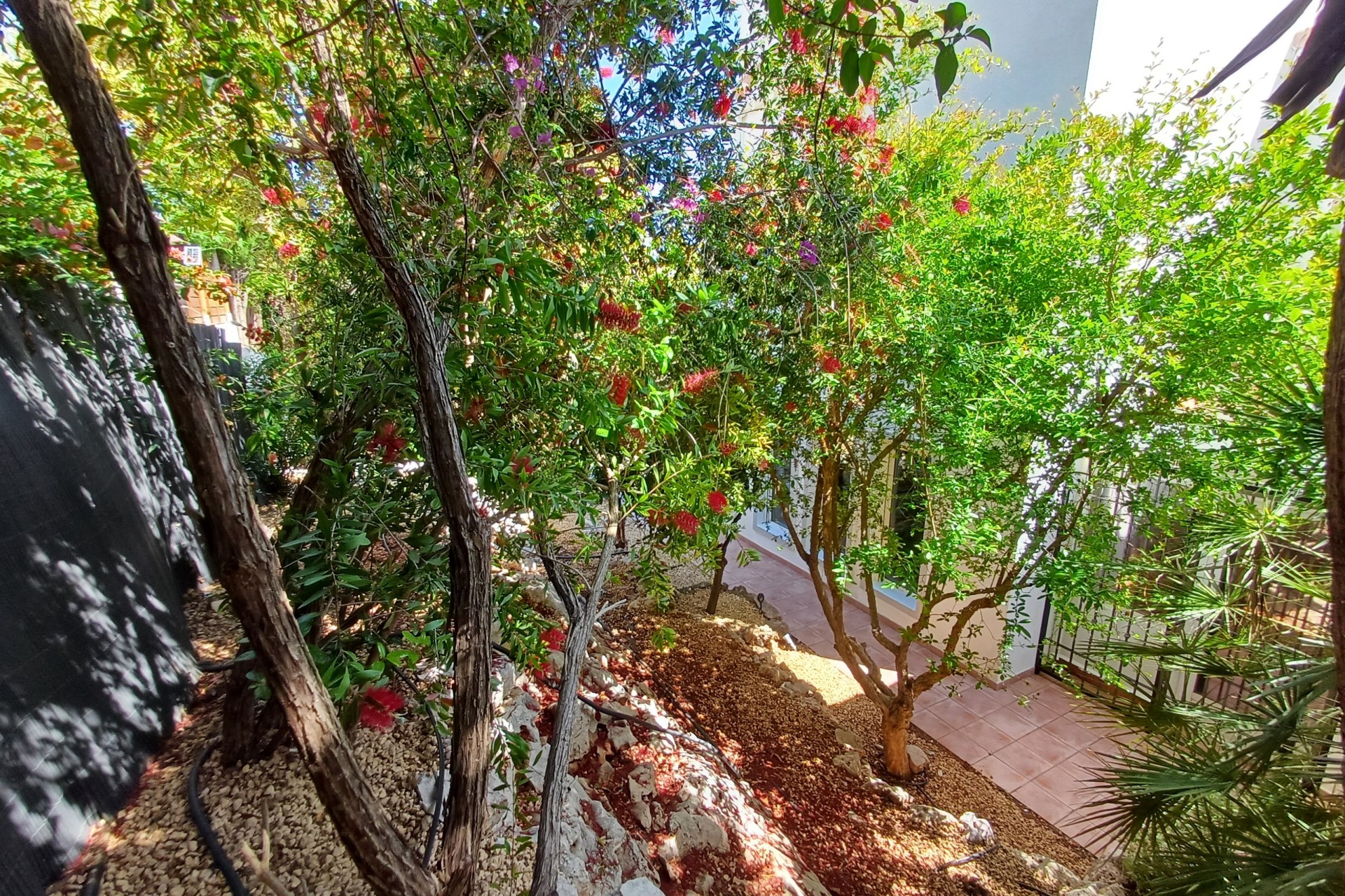 Nouvelle construction - Villa -
Gata de Gorgos