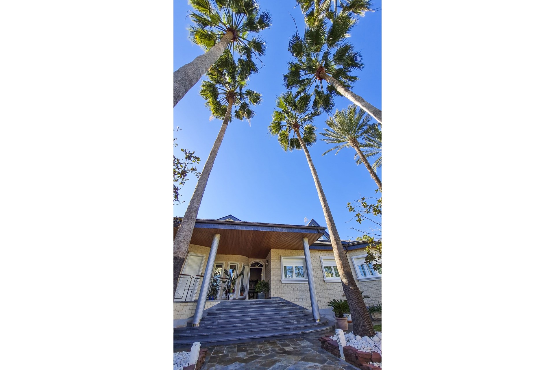 Nouvelle construction - Villa -
San Pedro del Pinatar
