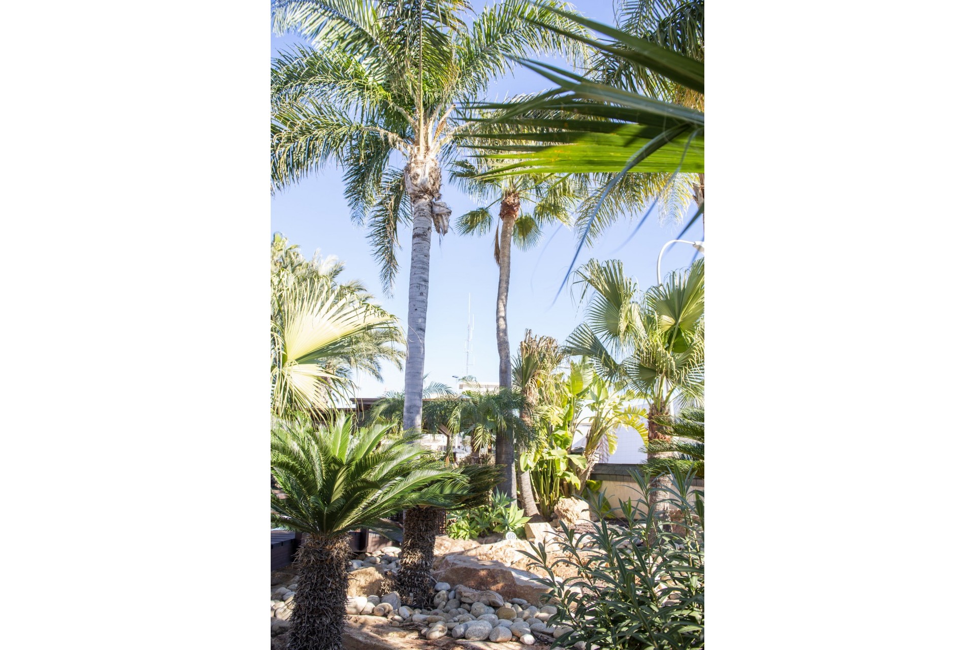 Nouvelle construction - Villa -
San Pedro del Pinatar