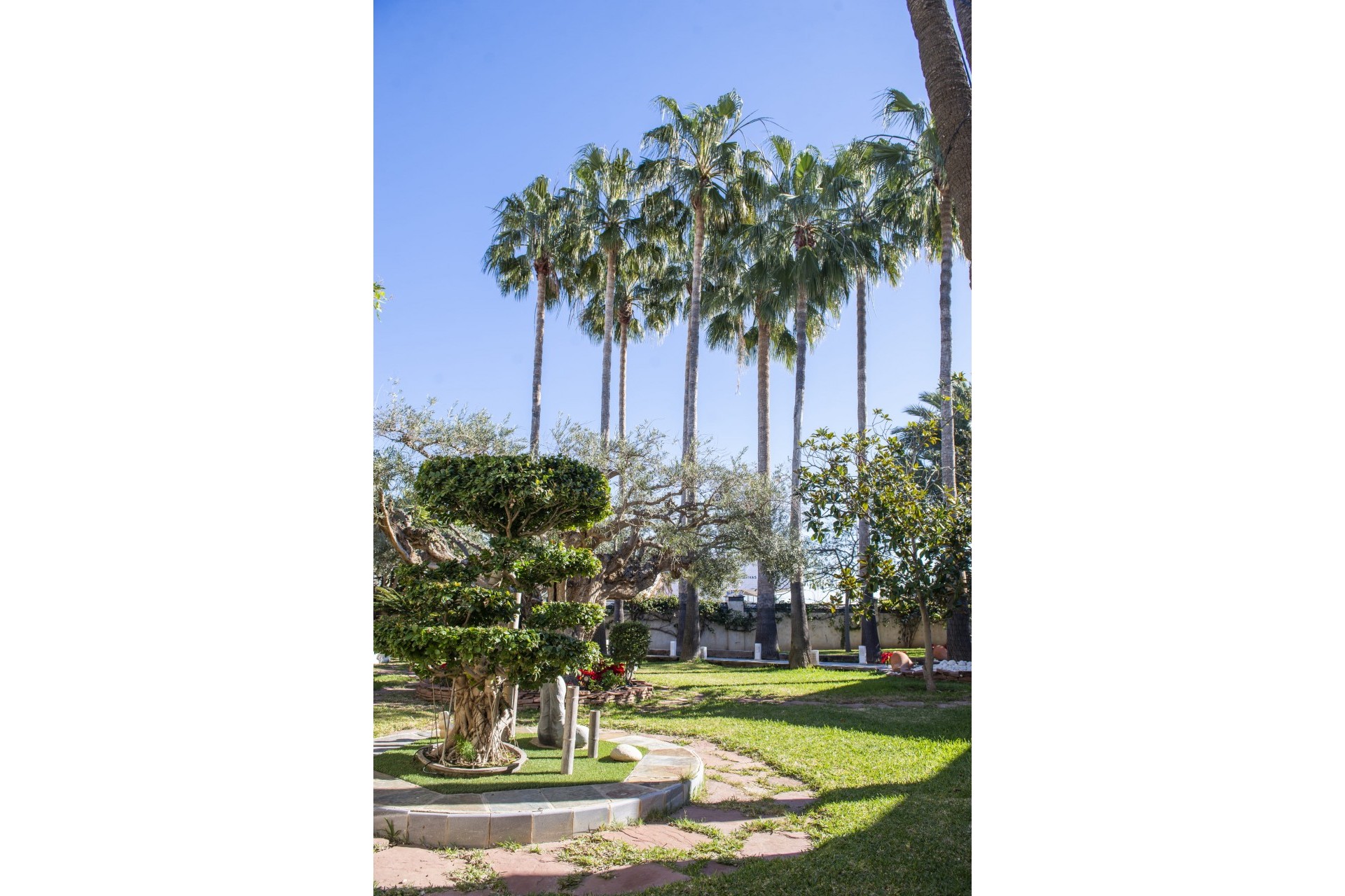Nouvelle construction - Villa -
San Pedro del Pinatar