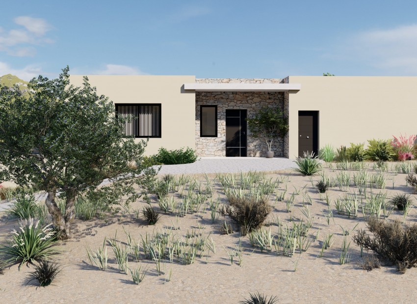 Nouvelle construction - Villa -
Yecla