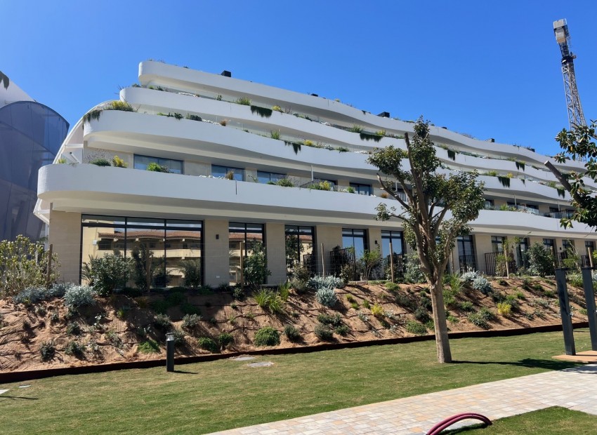 Nowe budownictwo - Apartament -
Albir