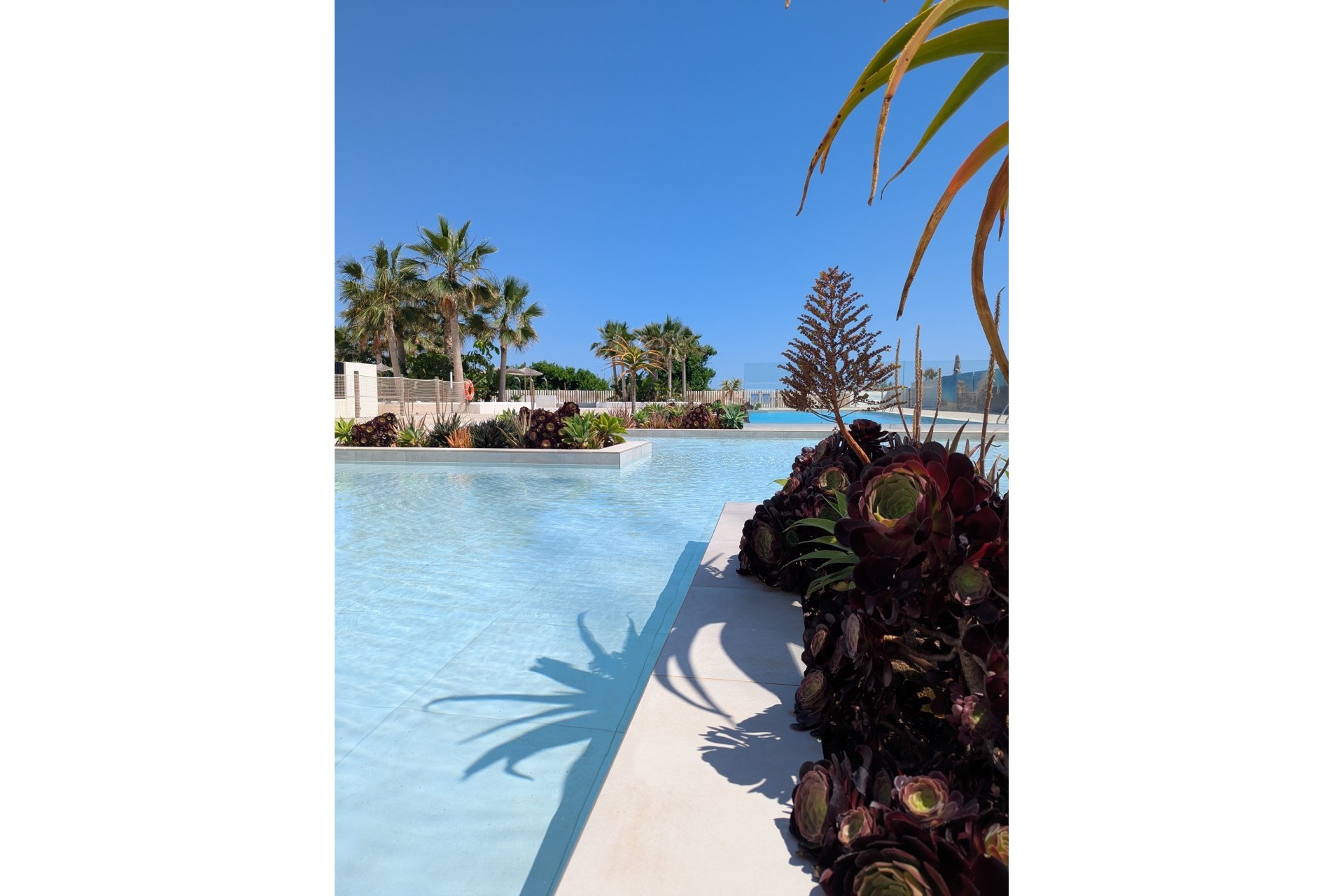 Nowe budownictwo - Apartament -
Denia