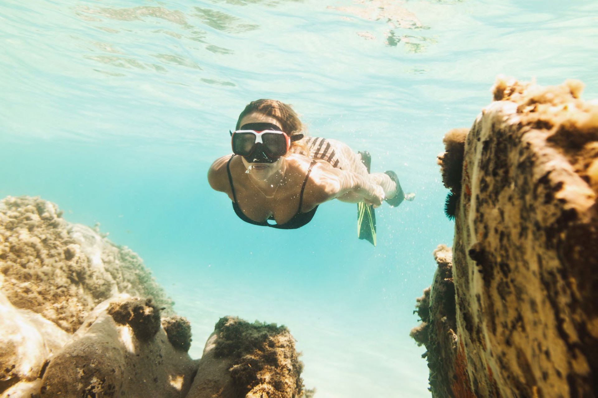 Nowe budownictwo - Apartament -
La Manga del Mar Menor