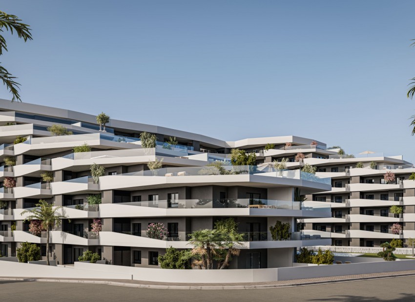 Nowe budownictwo - Apartament -
San Miguel de Salinas