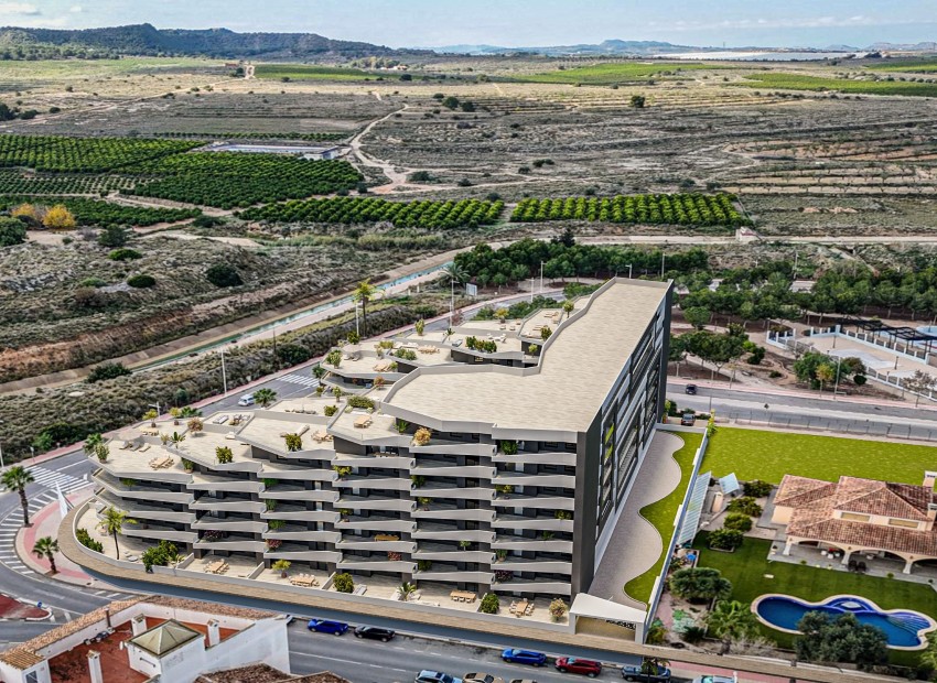 Nowe budownictwo - Apartament -
San Miguel de Salinas