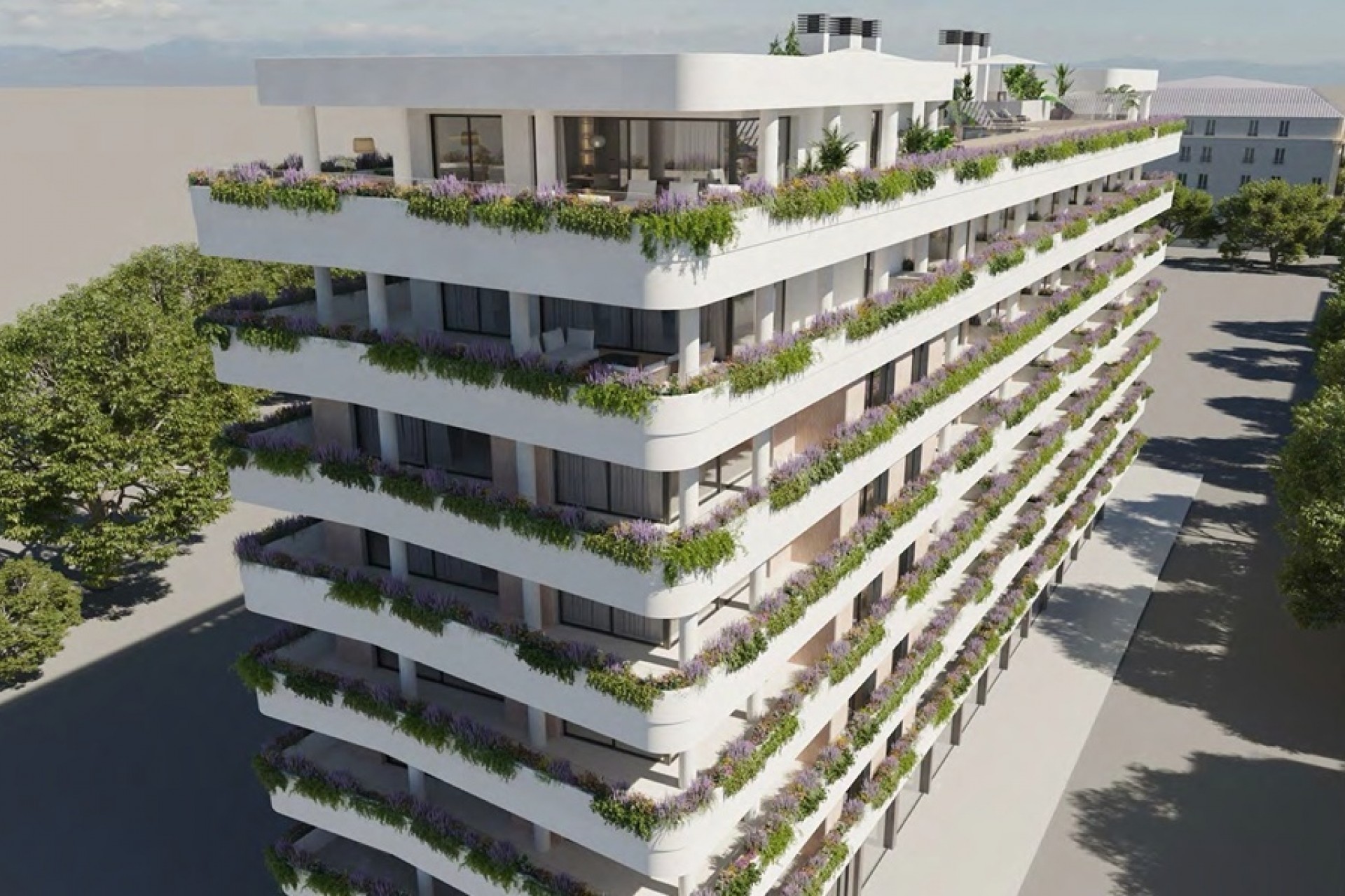 Nowe budownictwo - Apartament -
