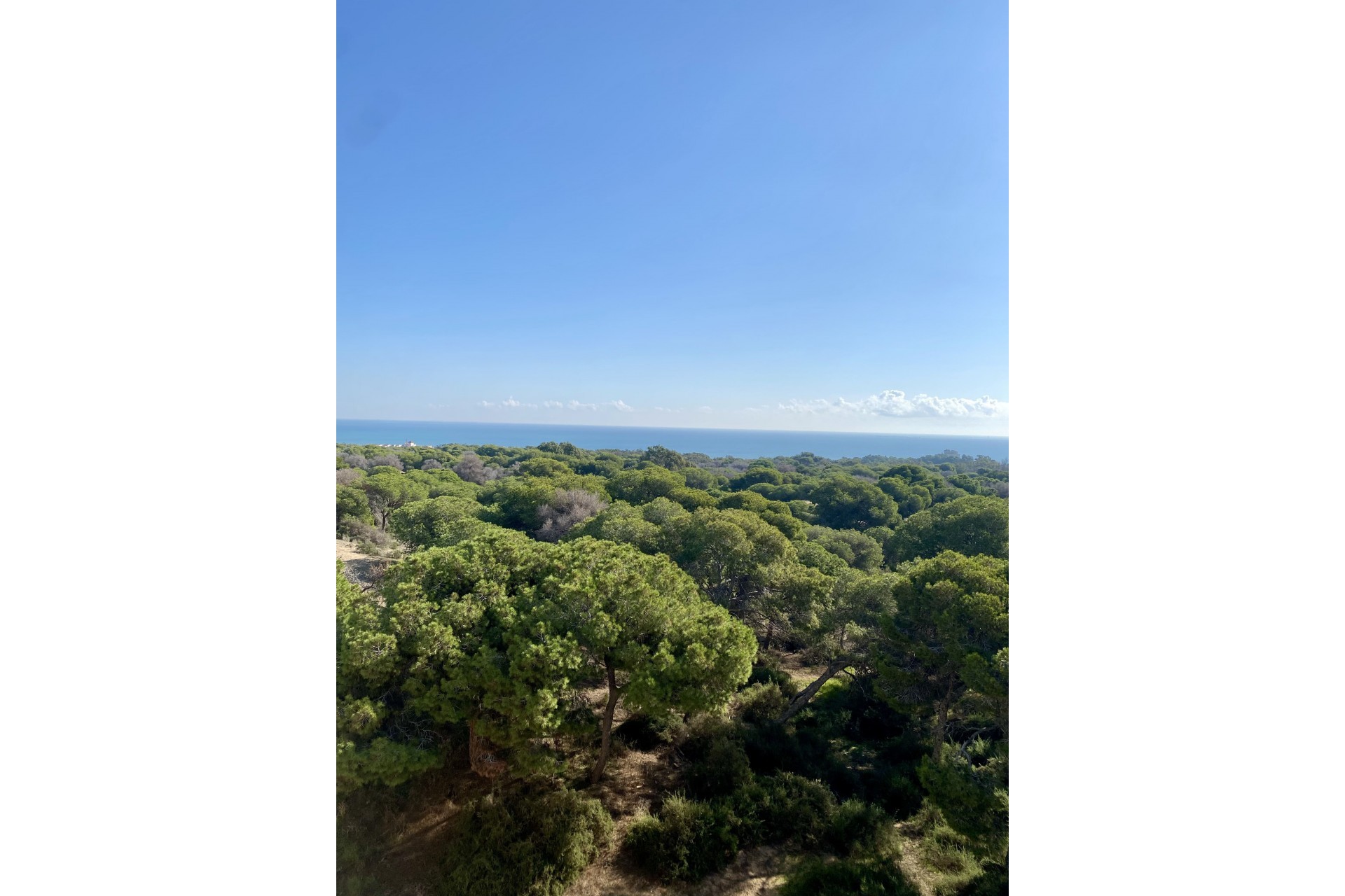 Nowe budownictwo - Penthouse -
Guardamar del Segura