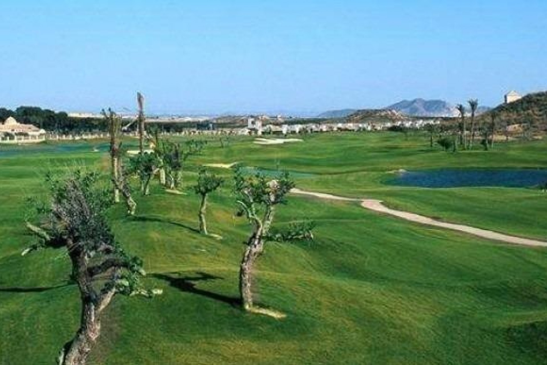 Nowe budownictwo -  -
Peraleja Golf