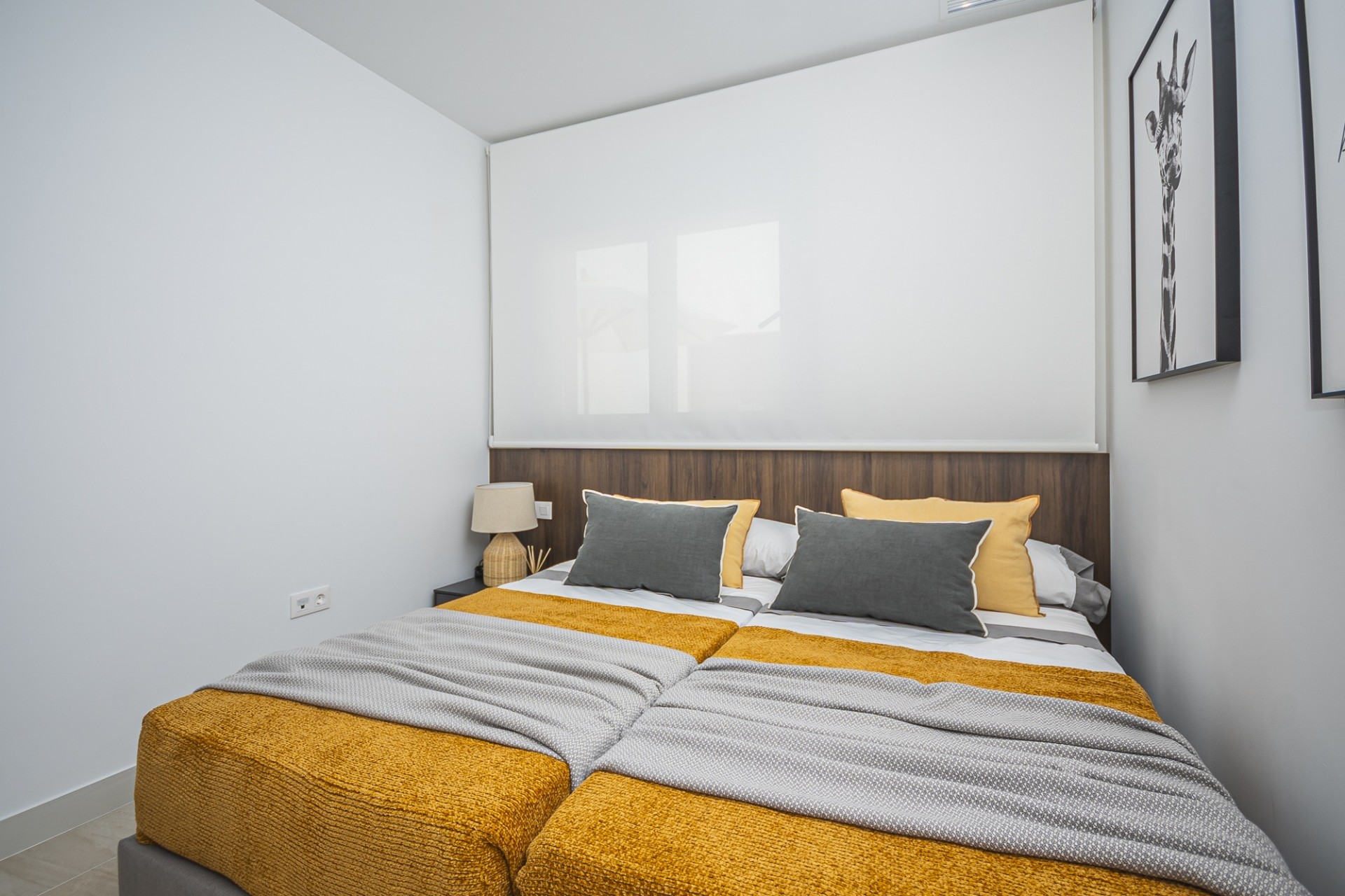 Nowe budownictwo -  -
Torrevieja
