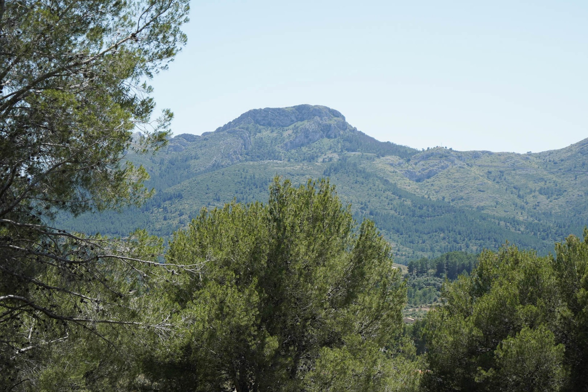 Nowe budownictwo - Willa -
Alcalalí - Solana Gardens