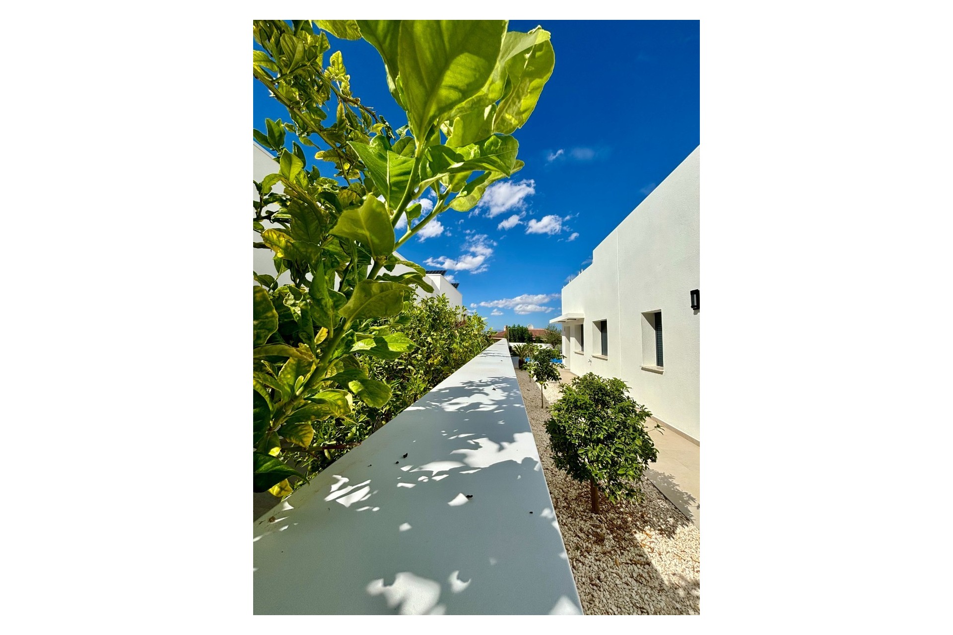 Nowe budownictwo - Willa -
Benijofar