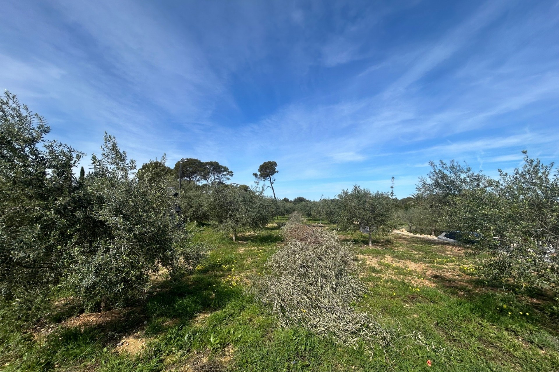 Nowe budownictwo - Willa -
Denia - La Xara - La Sella